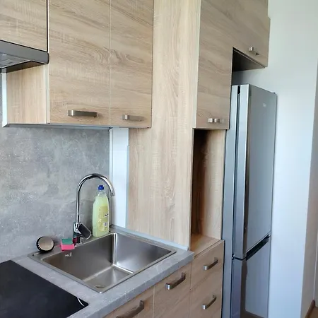 Apartment W Dolinie Drwecy Przy Dworcowej Kurzetnik